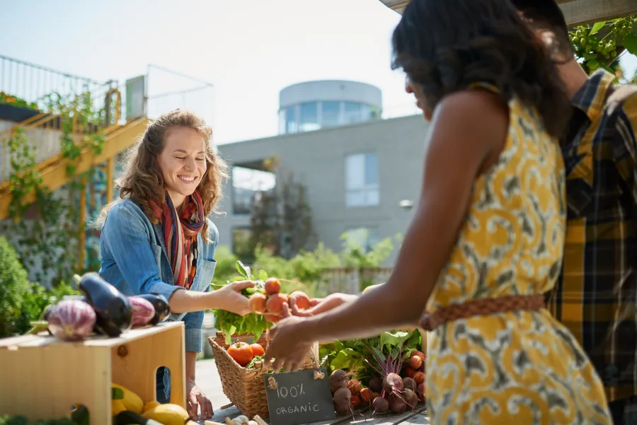 Shoppers choosing fresh vegetables at a farm stand